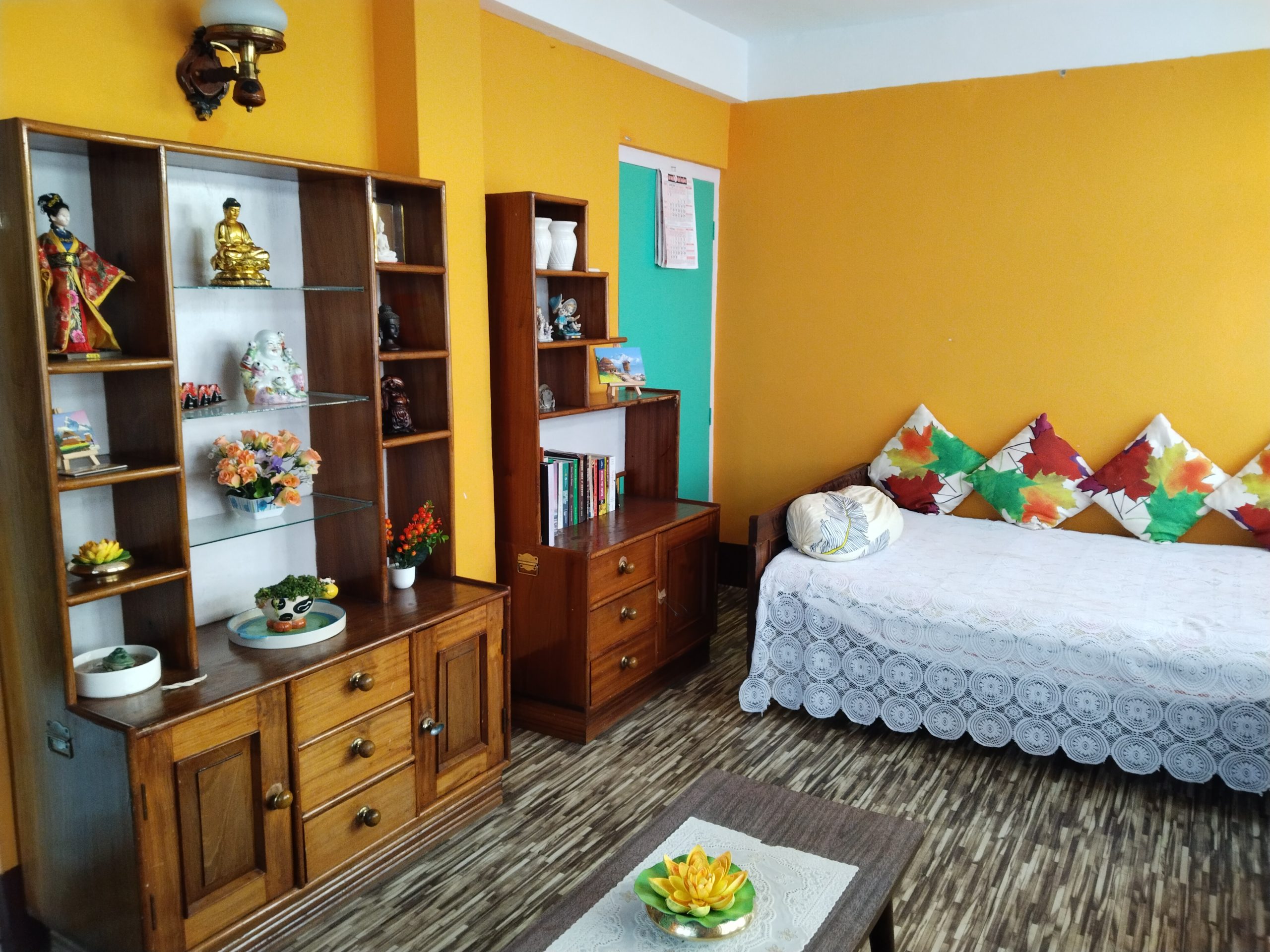 【インド】ドッグリハビリテーション宿泊先画像