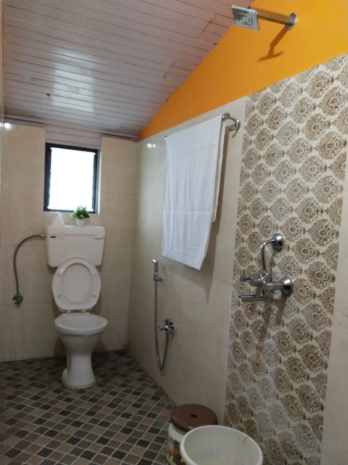 【インド】ドッグリハビリテーション宿泊先画像