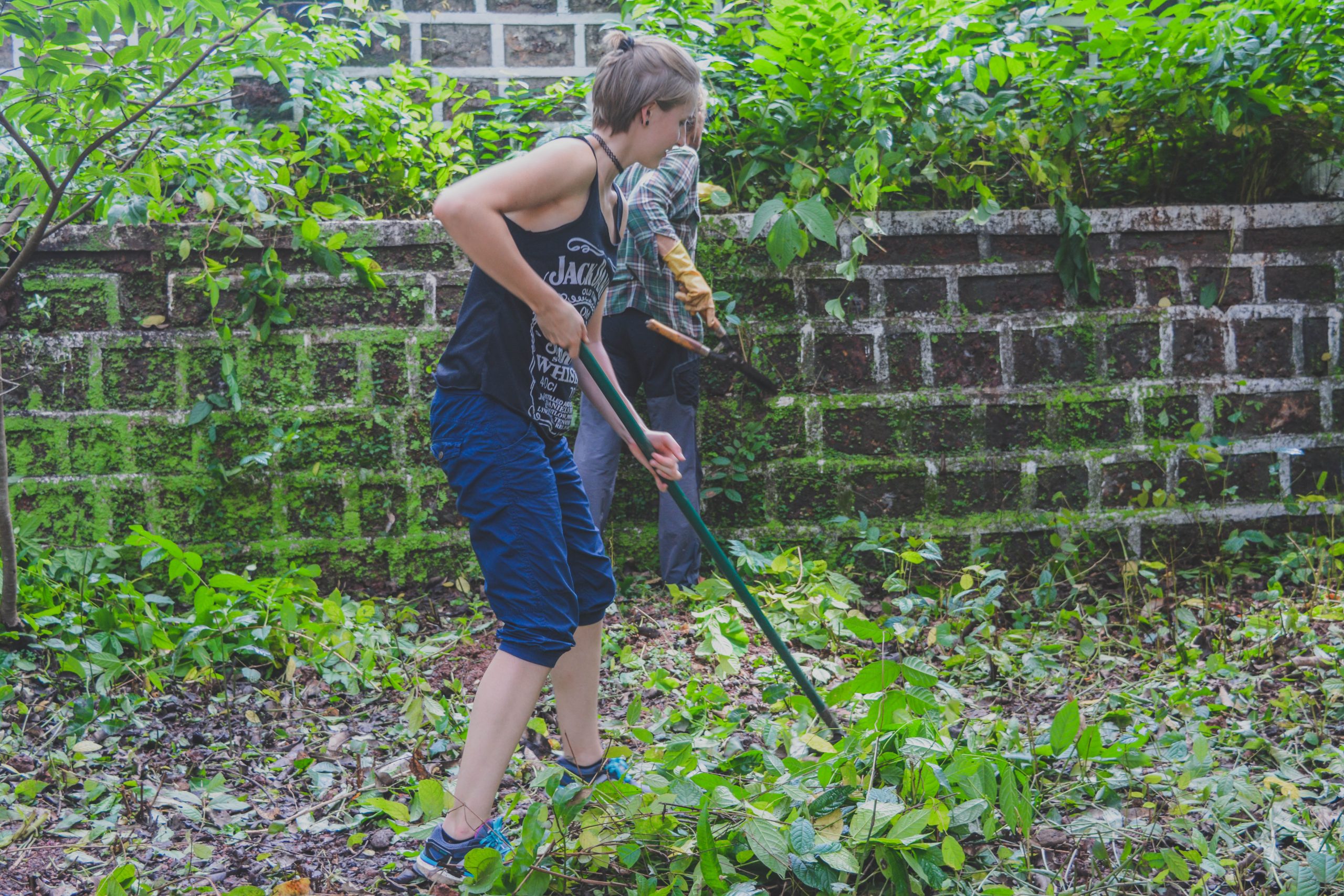 【インド】建設と改修プログラム業務内容画像