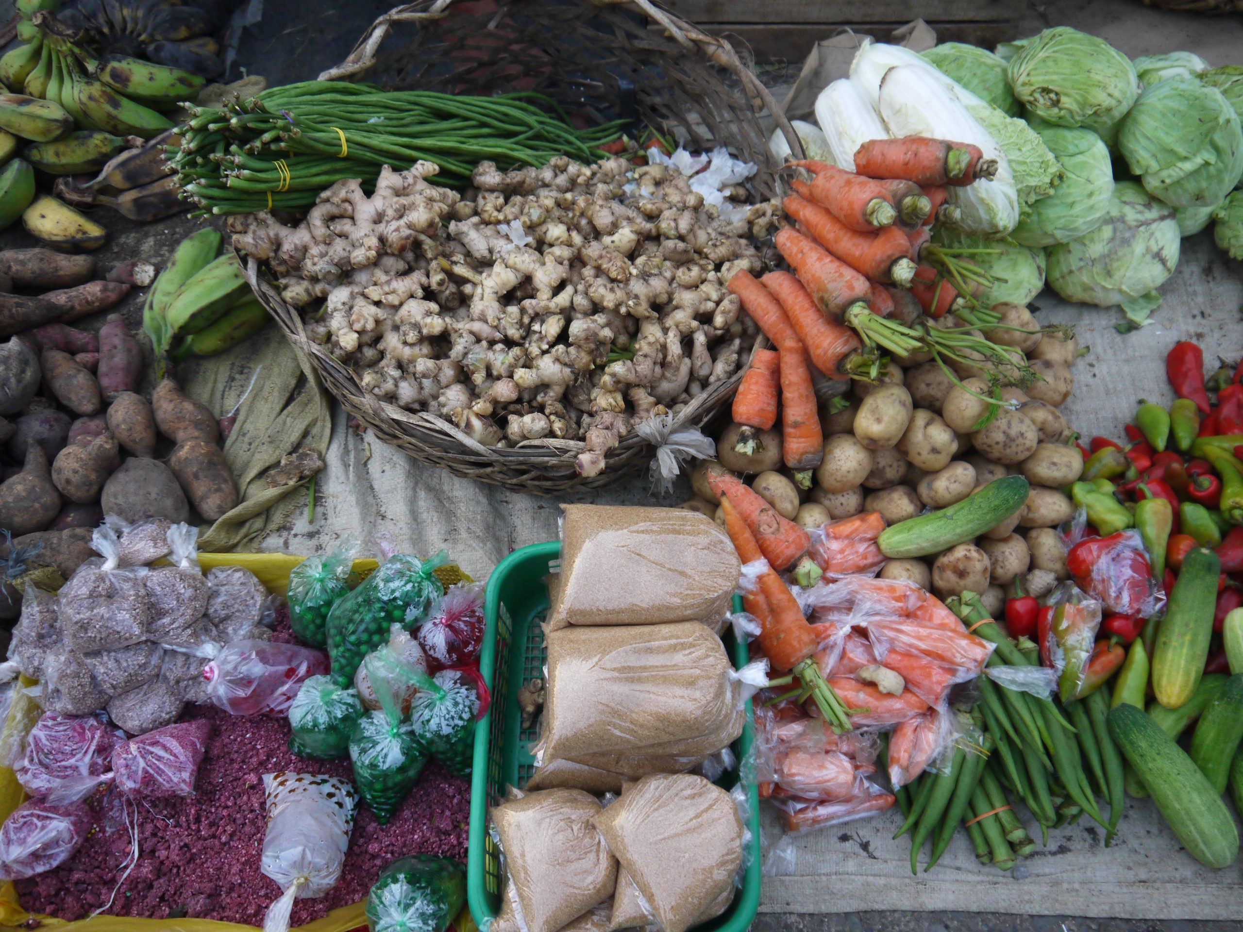 【フィリピン】アボルラン文化体験プログラム業務内容画像