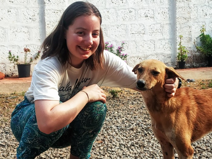 【インド】動物福祉プログラム