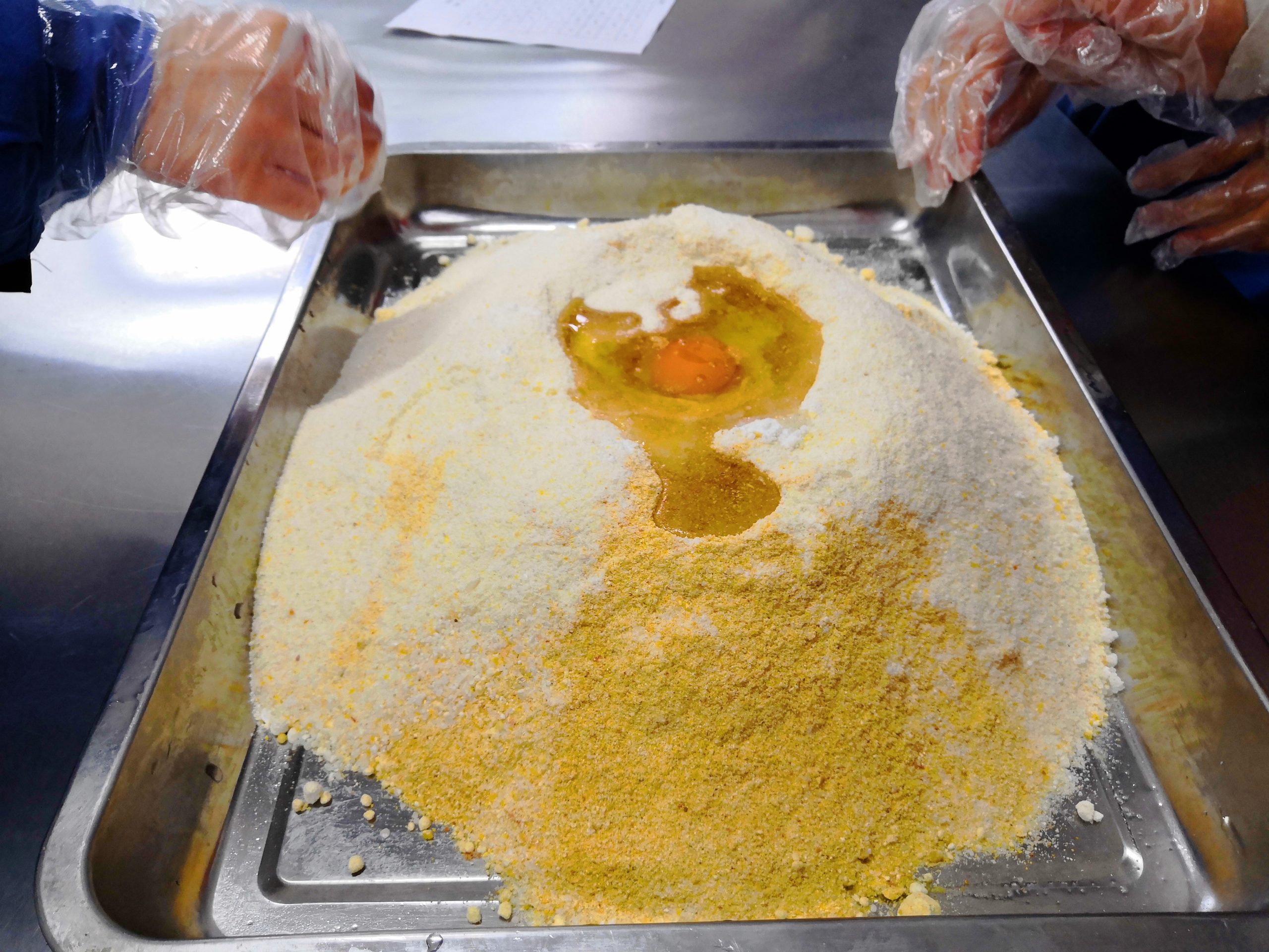 【中国】パンダ保護プロジェクトスケジュール画像