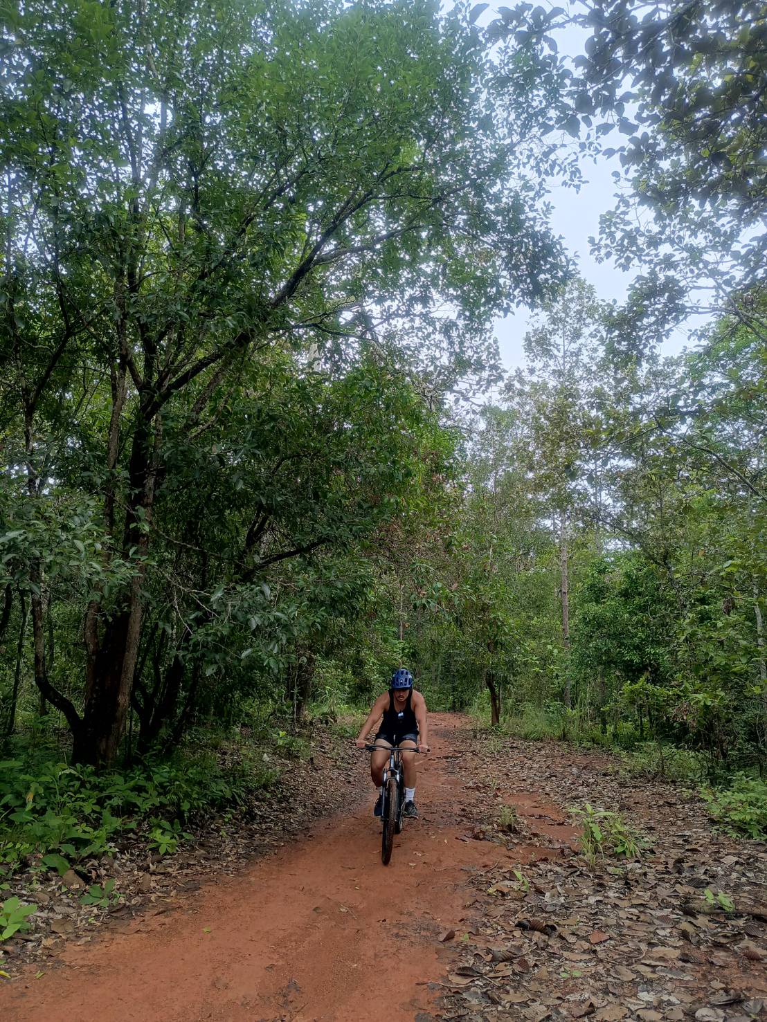 【タイ-チェンマイ】チェンマイの冒険業務内容画像