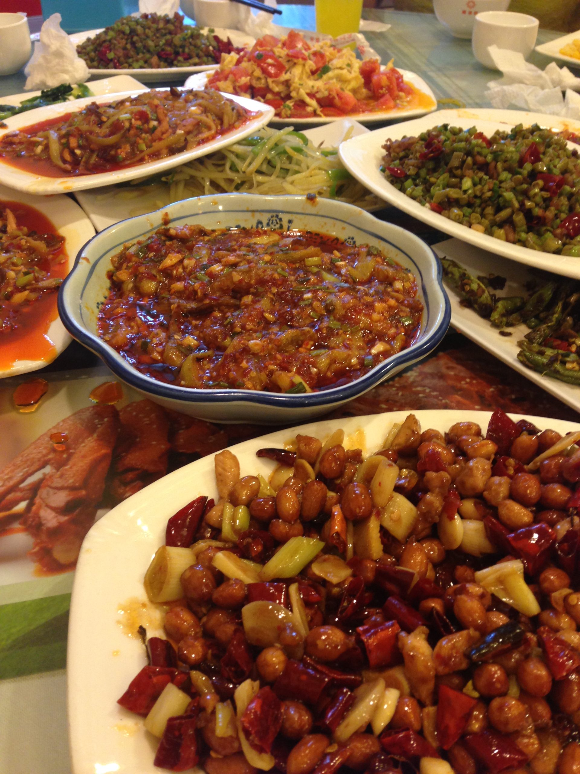 【中国】パンダ保護プロジェクト業務内容画像