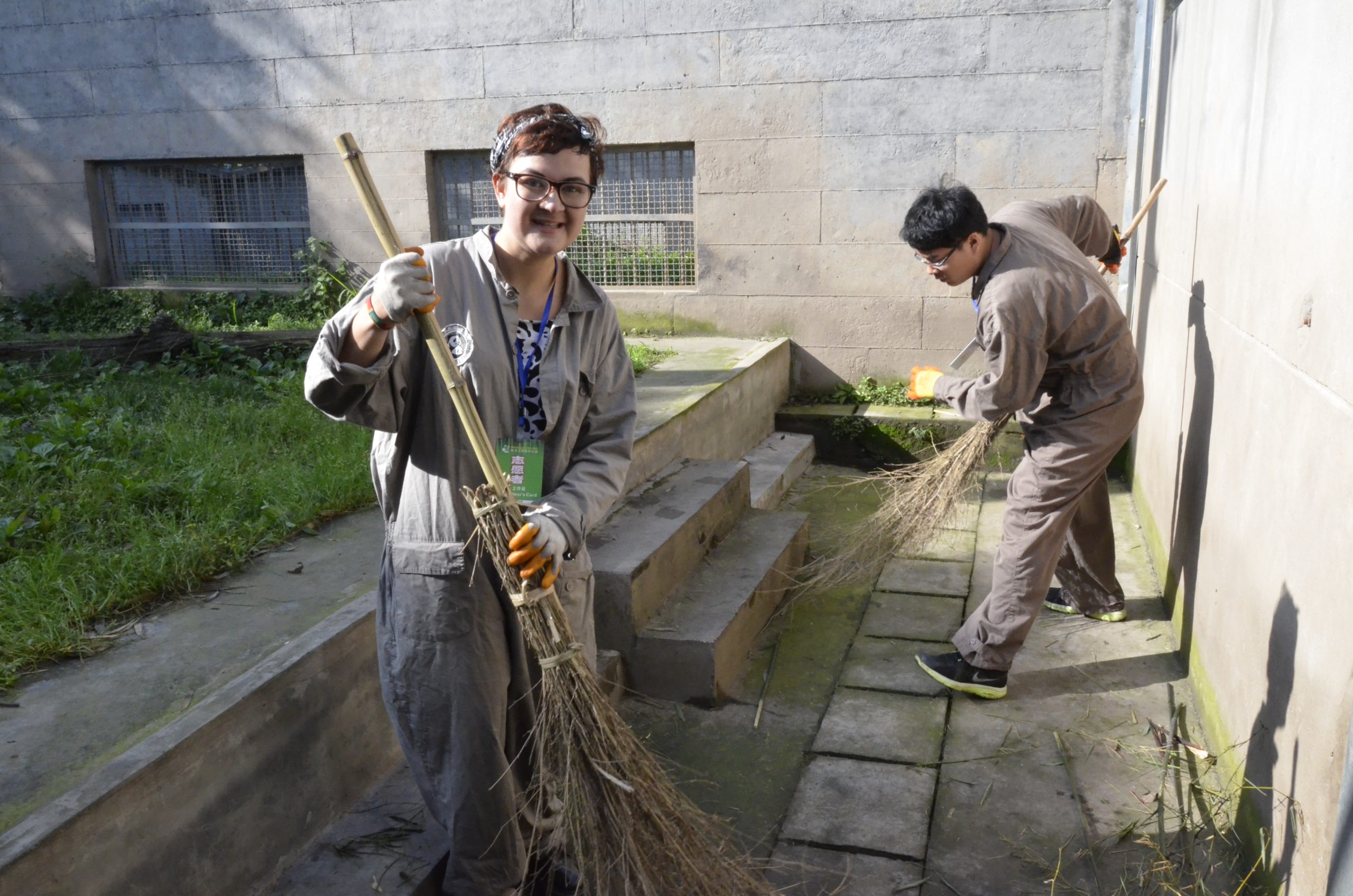 【中国】パンダ保護プロジェクト業務内容画像