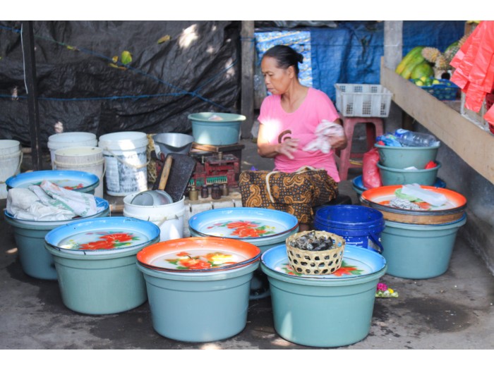 【インドネシア-ロビナ】文化体験プログラム業務内容画像