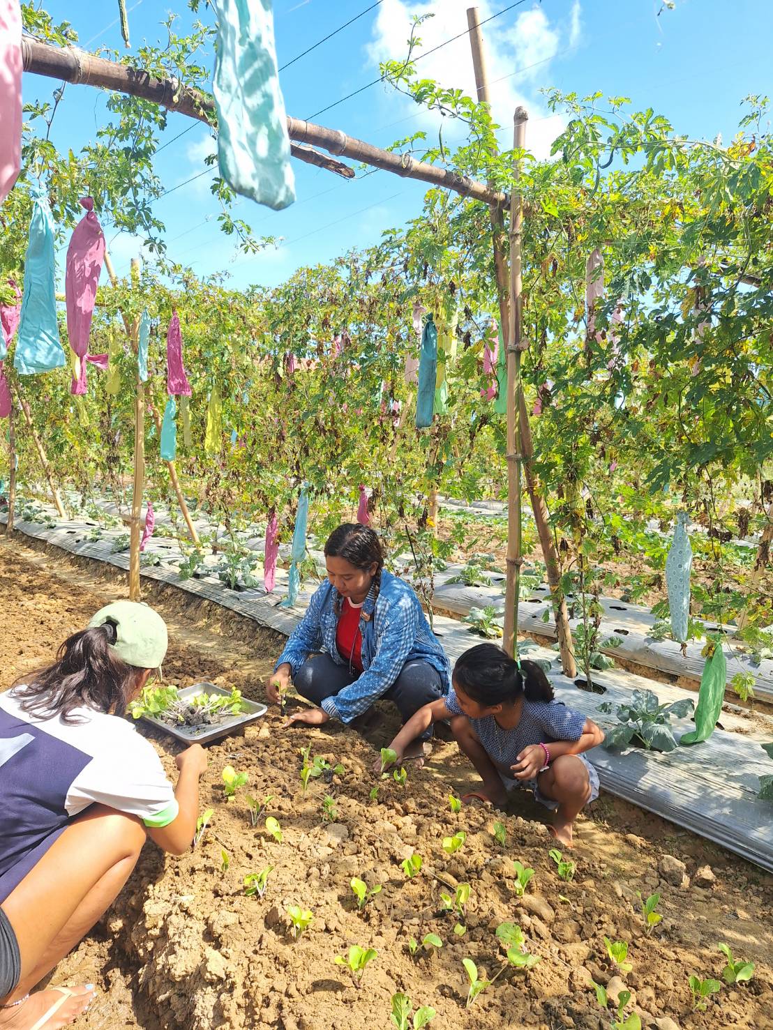 【フィリピン】アボルラン環境保全プログラムスケジュール画像
