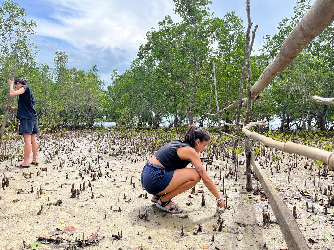 【フィリピン】アボルラン環境保全プログラム業務内容画像