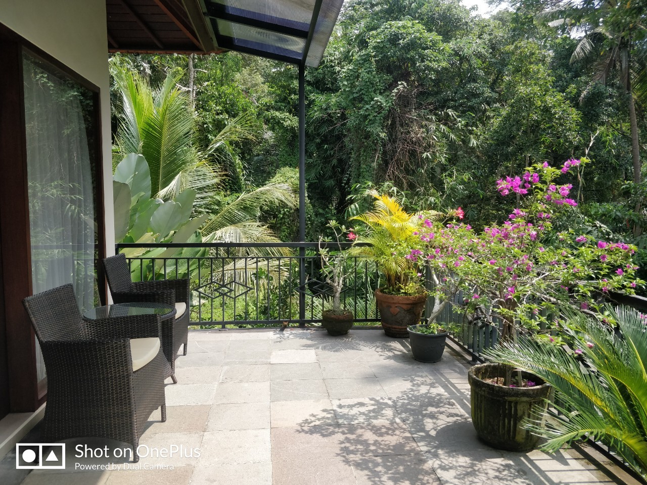 【インドネシア】バリ島の冒険宿泊先画像