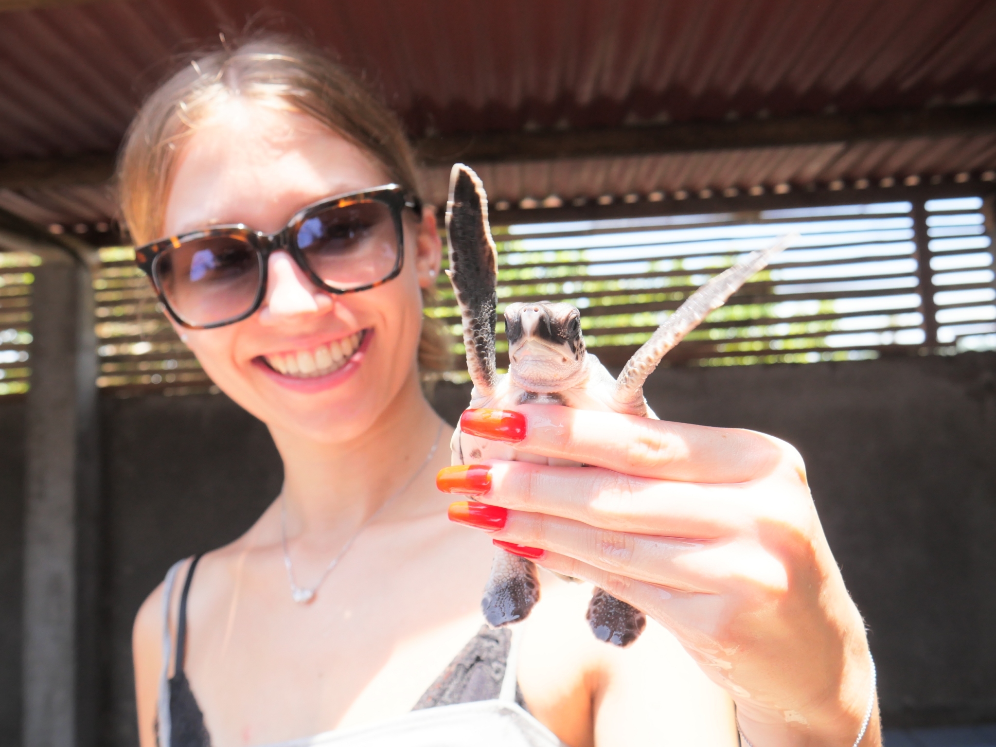 【インドネシア – ロンボク島】ウミガメ保護プログラム