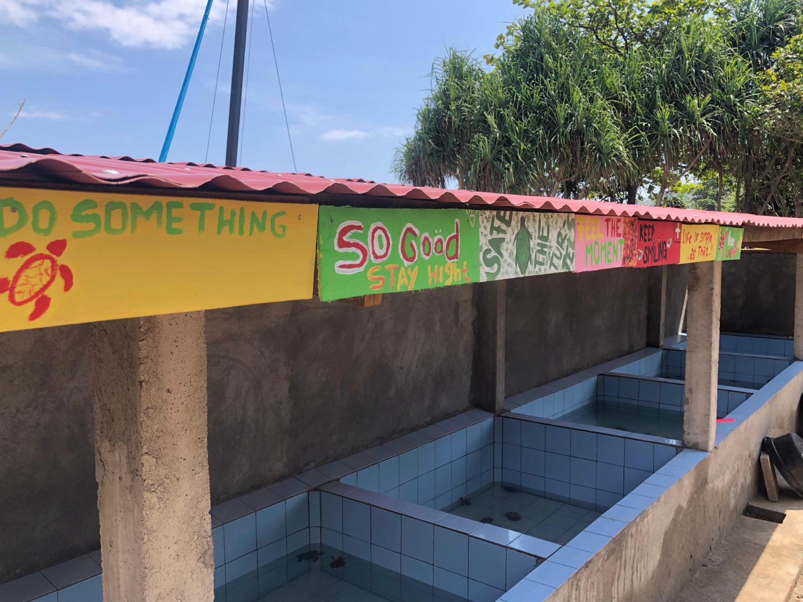 【インドネシア – ロンボク島】ウミガメ保護プログラム業務内容画像