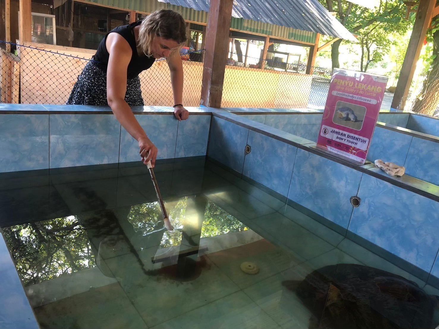 【インドネシア – ロンボク島】ウミガメ保護プログラム