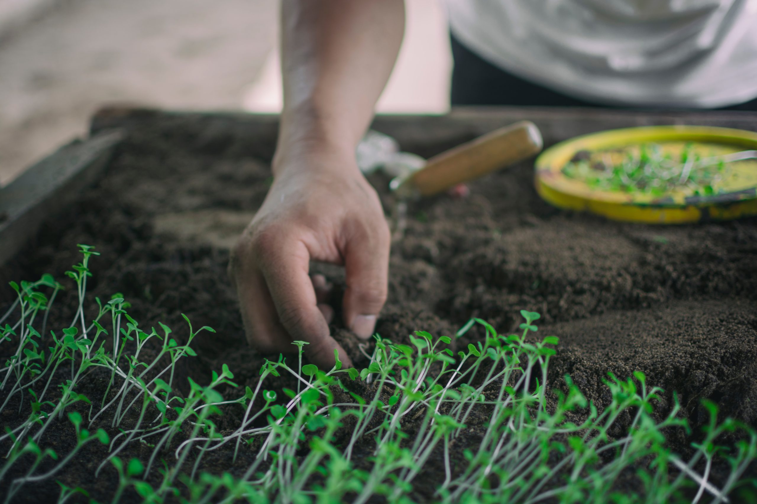 【フィリピン】アボルラン環境保全プログラムスケジュール画像