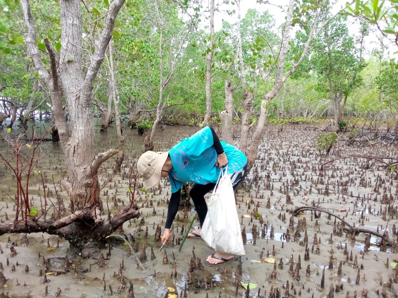 【フィリピン】アボルラン環境保全プログラム業務内容画像