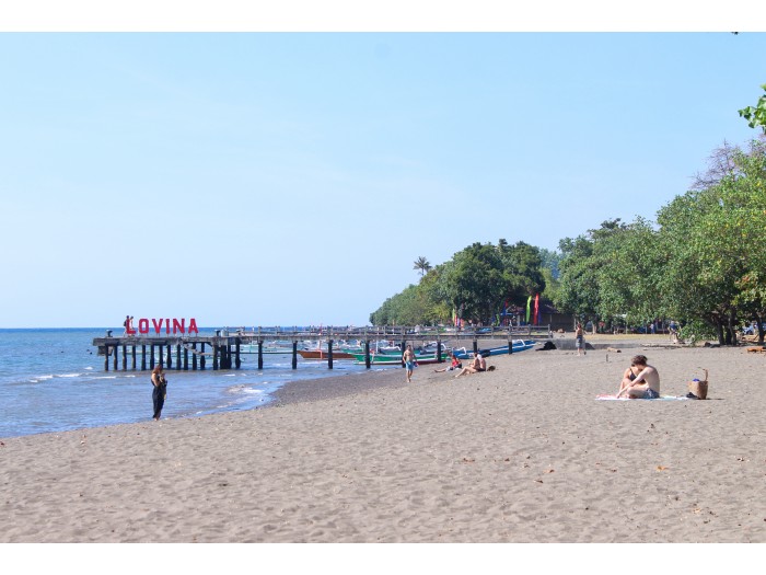 【インドネシア-ロビナ】文化体験プログラム