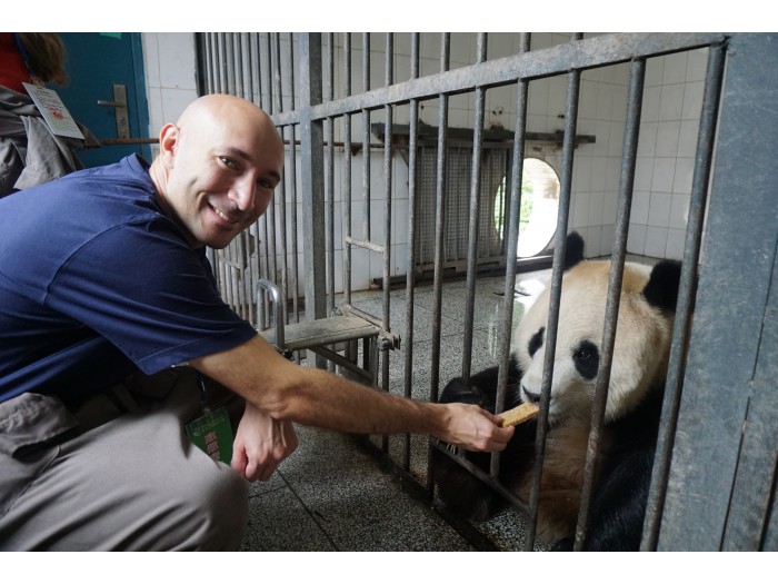 【中国】パンダ保護プロジェクト