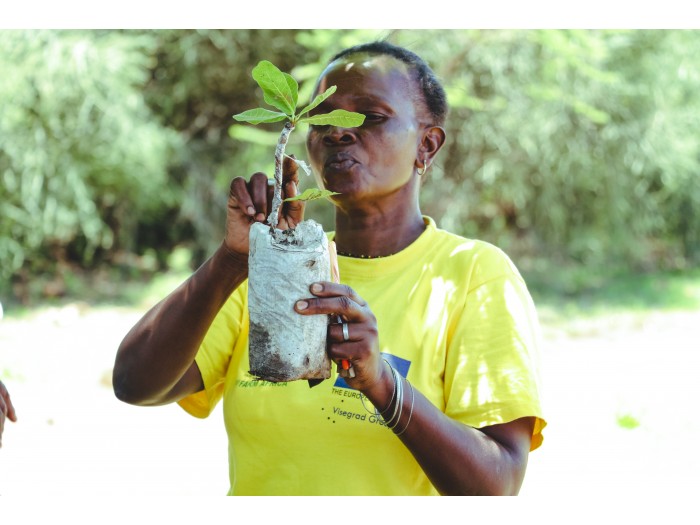 【ケニア】環境保全プログラム
