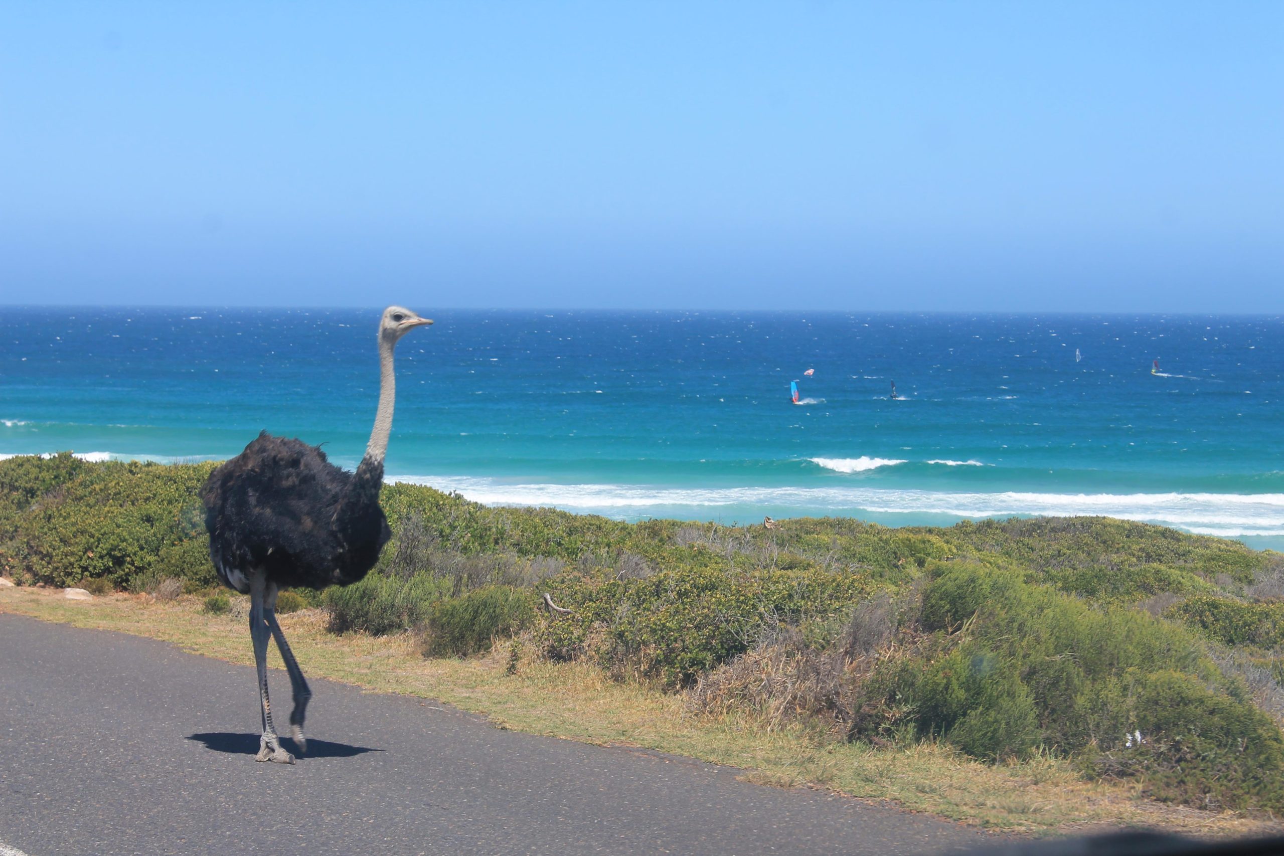 【ガーナ】教育プログラム業務内容画像
