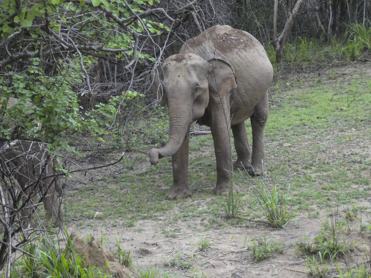 【スリランカ – キャンディ】文化体験プログラム
