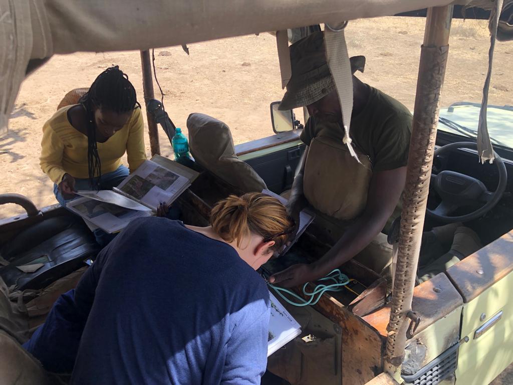 【ケニア】野生動物の保護プロジェクト