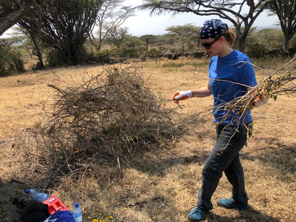 【ケニア】野生動物の保護プロジェクト