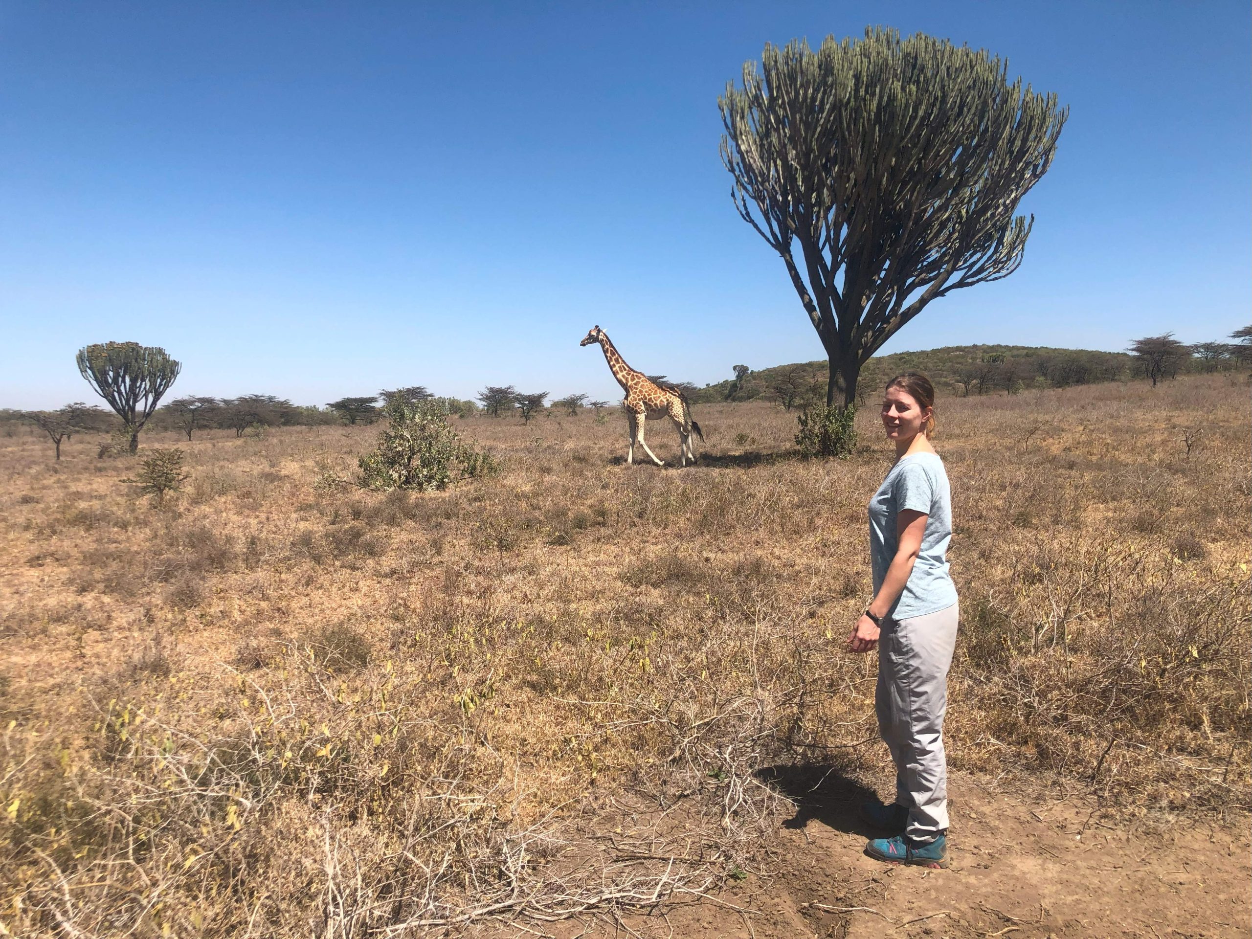 【ケニア】野生動物の保護プロジェクト