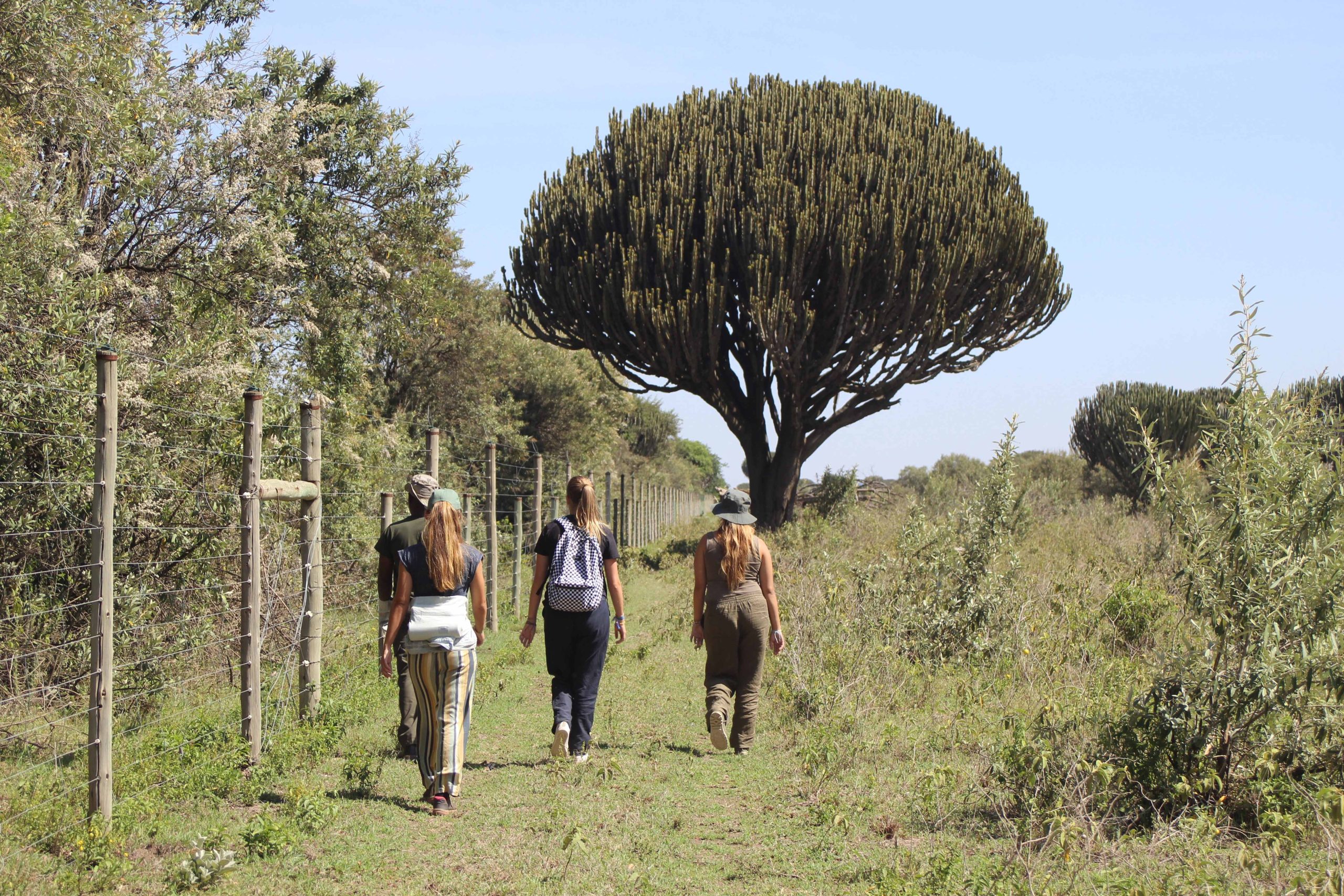 【ケニア】野生動物の保護プロジェクト
