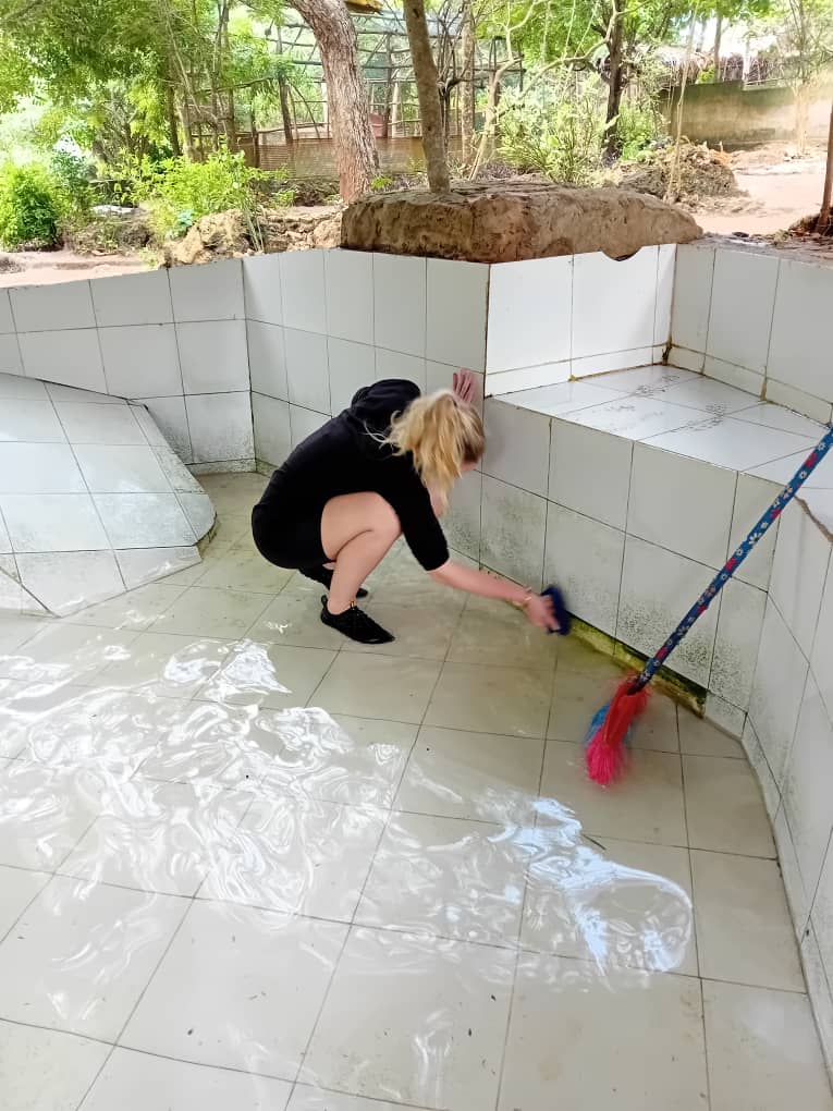 【ネパール】ビレッジトレッキング業務内容画像