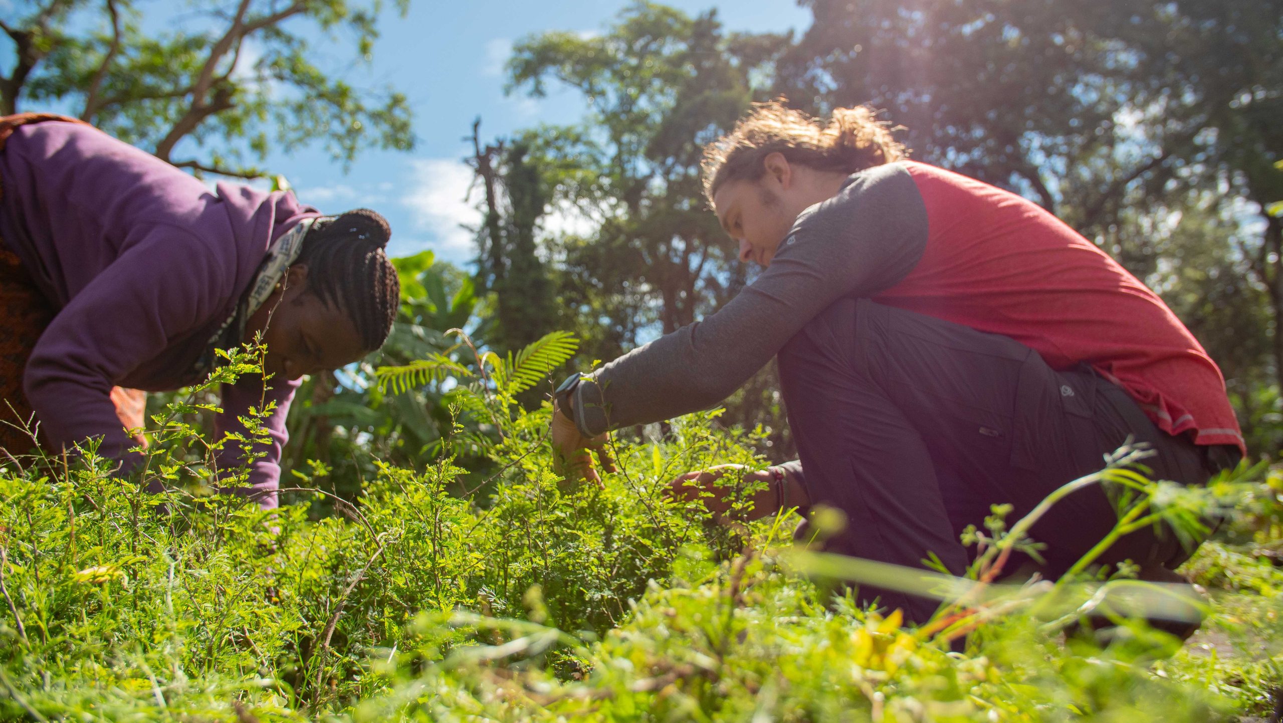 【ネパール – カトマンズ】文化体験週間スケジュール画像