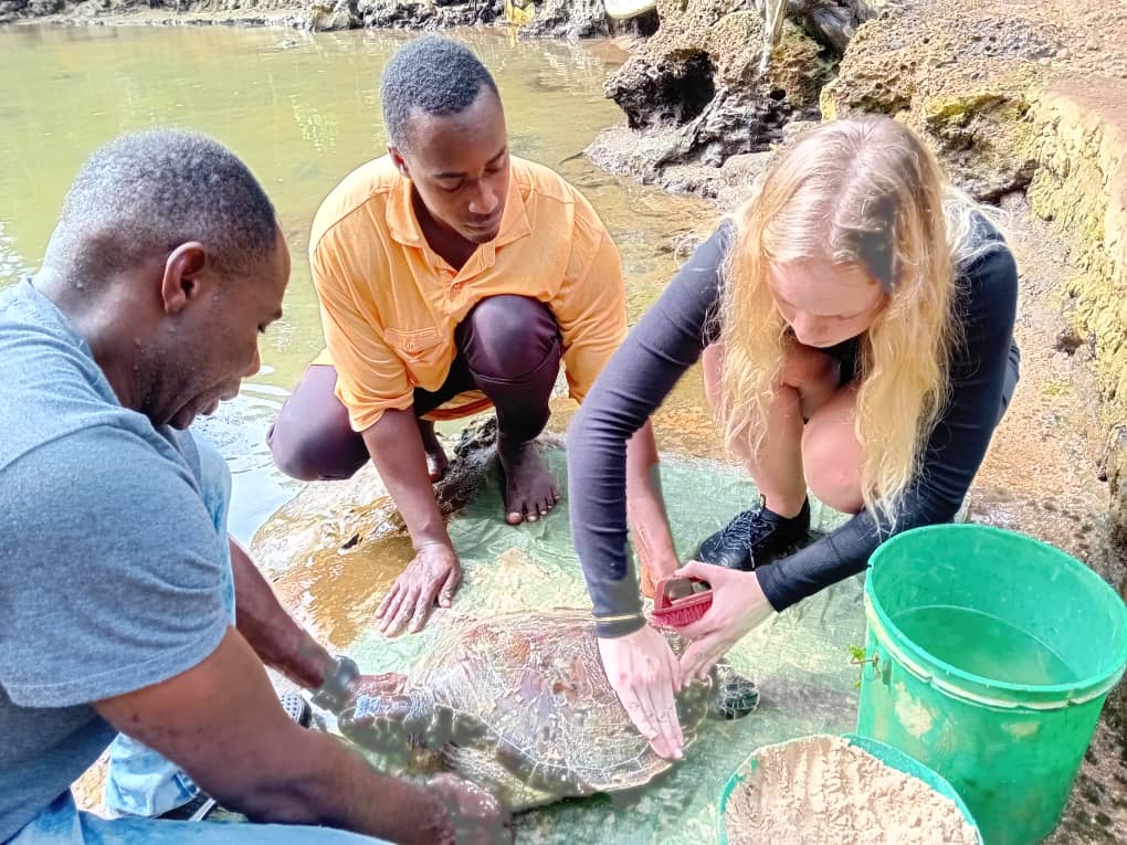 【ネパール】ビレッジトレッキング業務内容画像