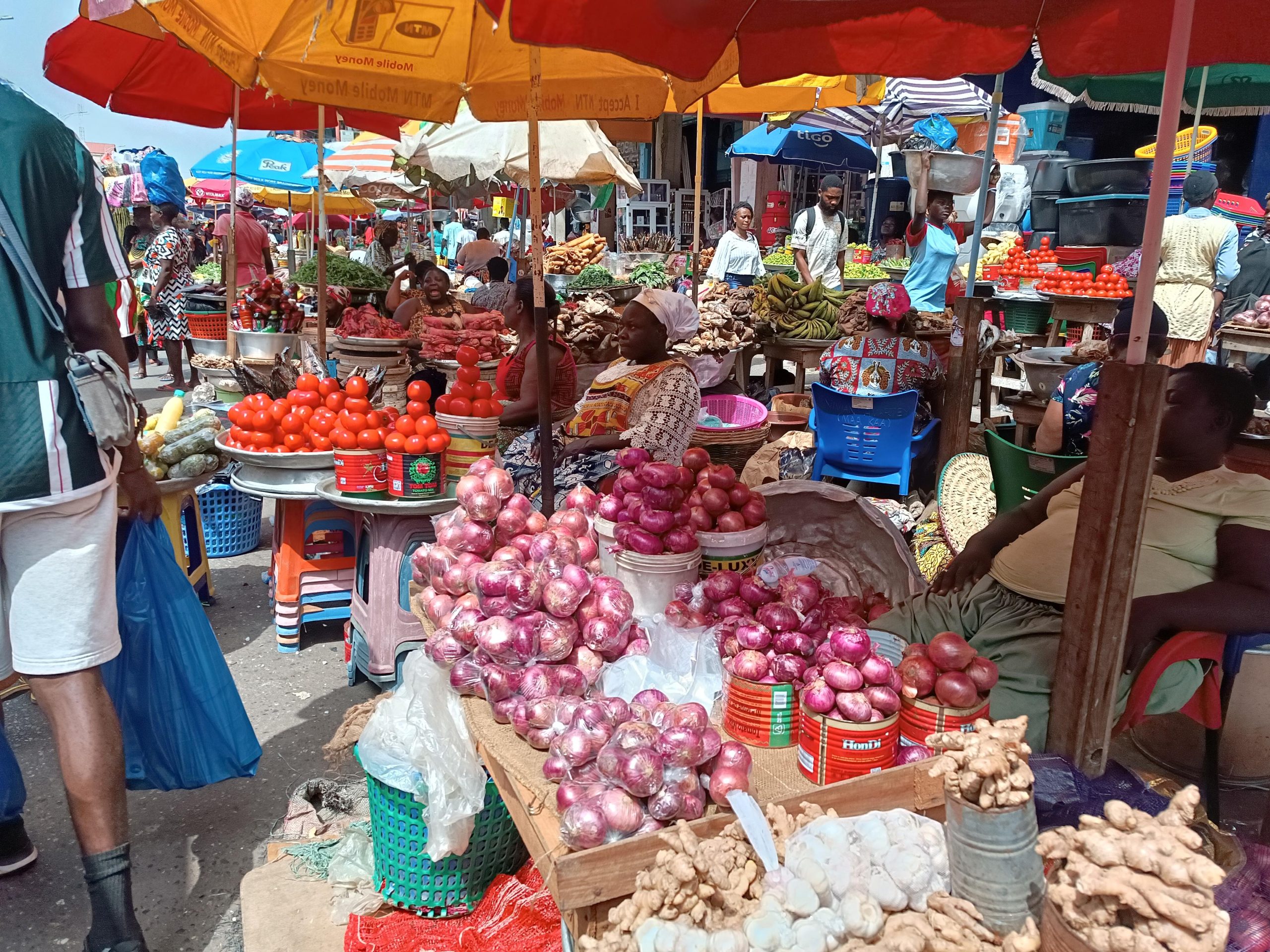 【ベトナム】医療支援プログラムスケジュール画像