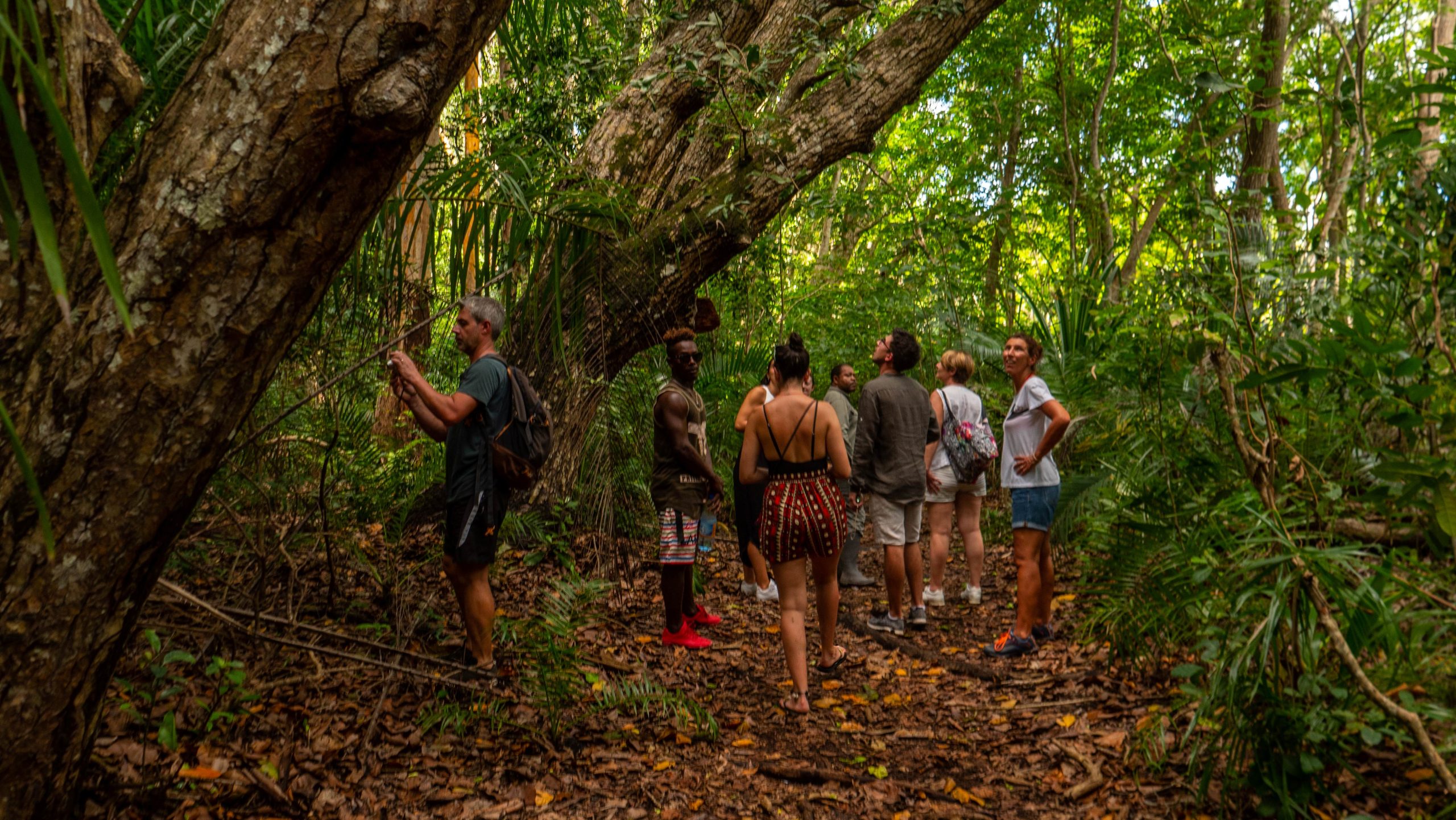 【ネパール】プーンヒルトレッキング宿泊先画像