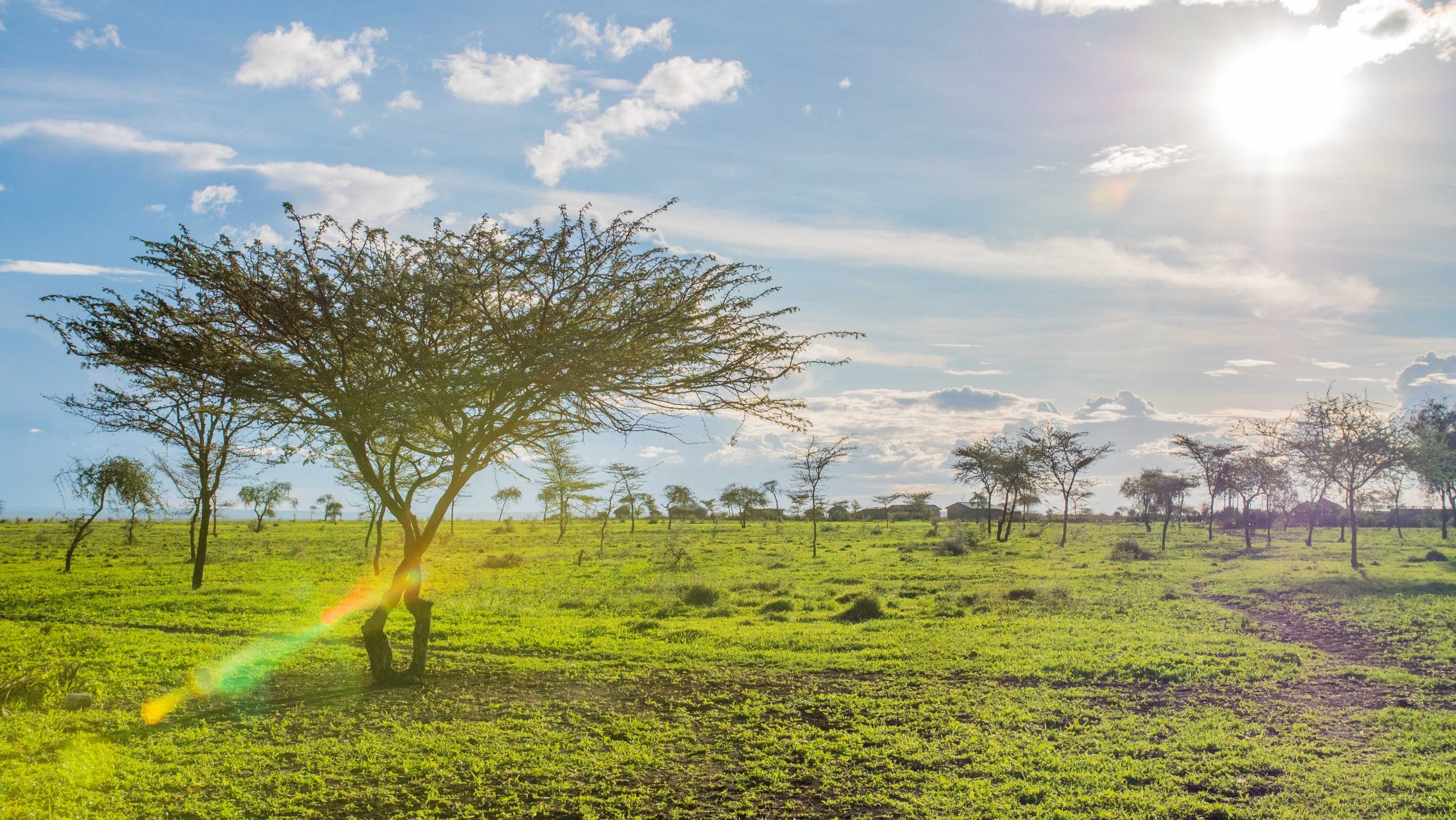 【フィジー】スポーツ教育プログラムスケジュール画像