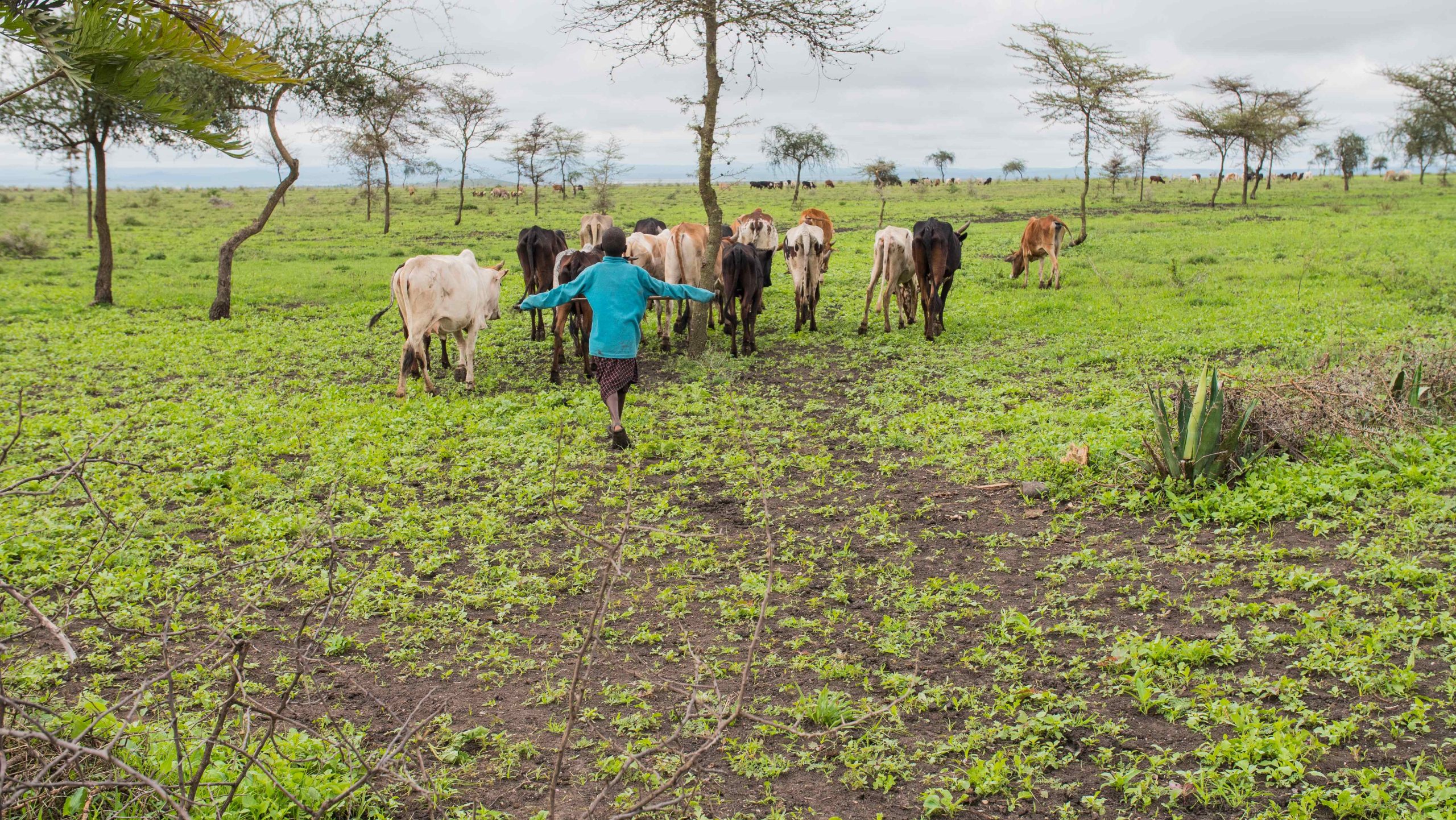 【フィジー】スポーツ教育プログラム宿泊先画像