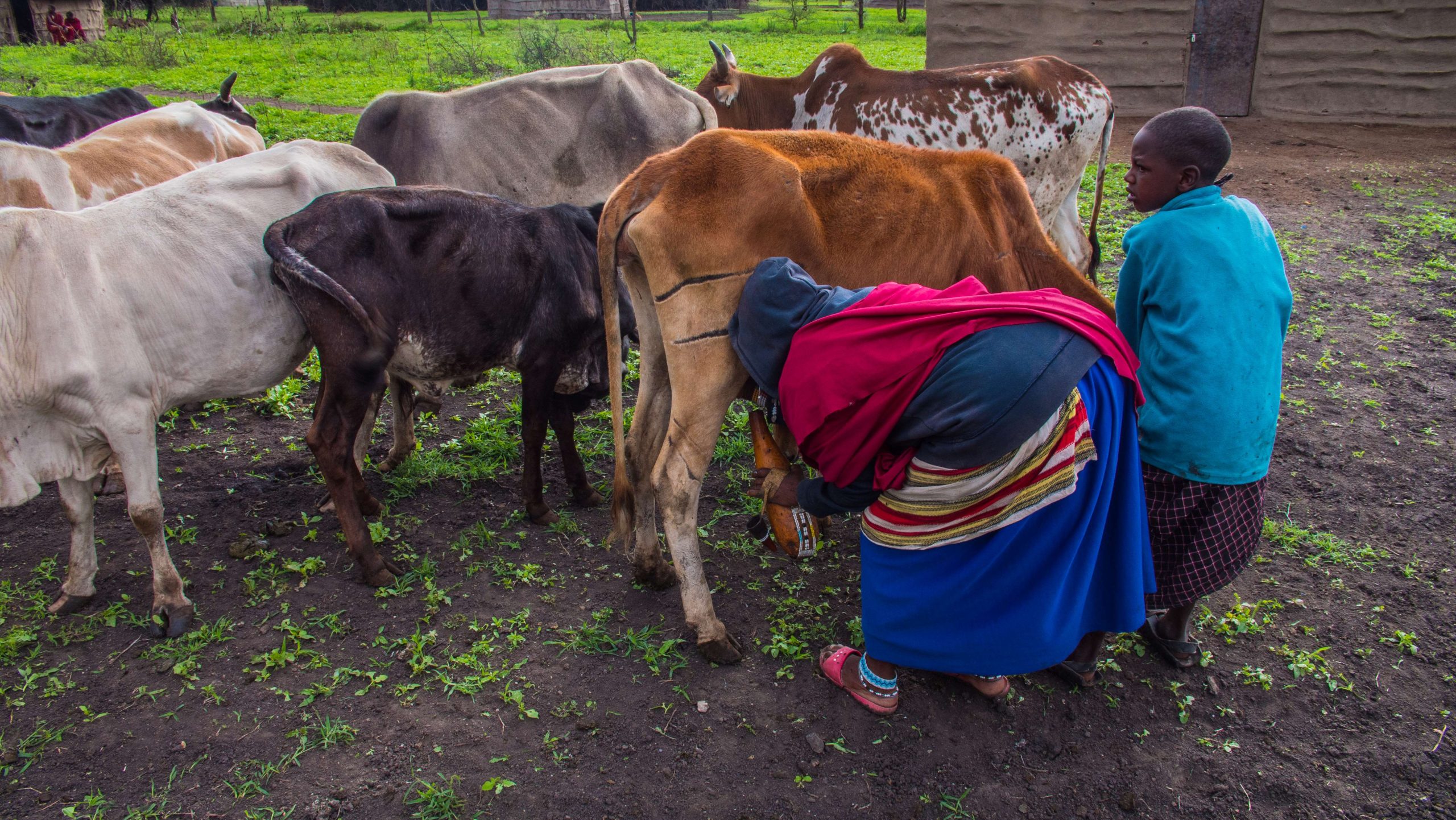 【スリランカ – エッラ】教育プログラム宿泊先画像