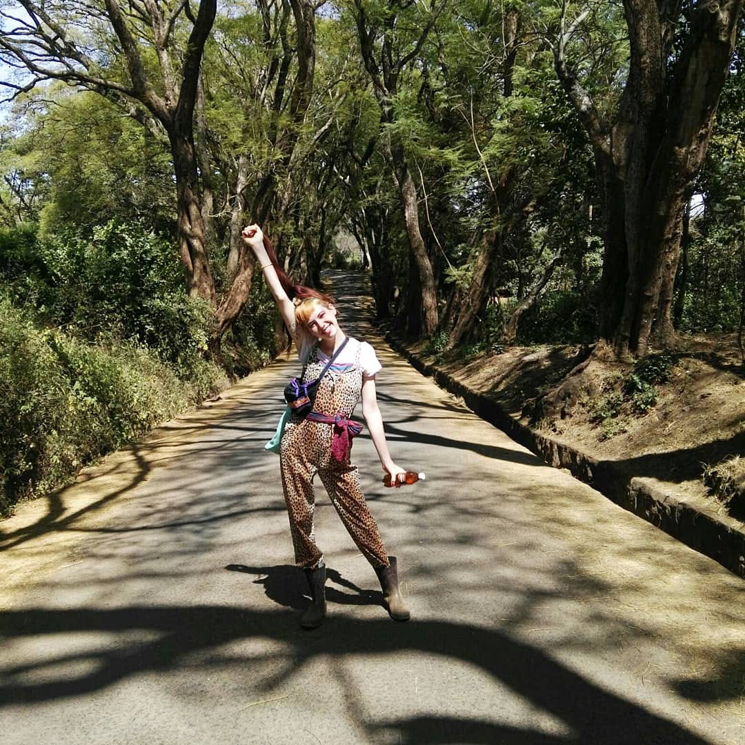【ケニア】野生動物の保護プロジェクト業務内容画像