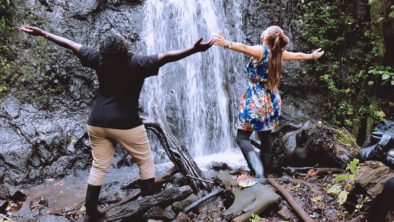 【ケニア】野生動物の保護プロジェクト宿泊先画像