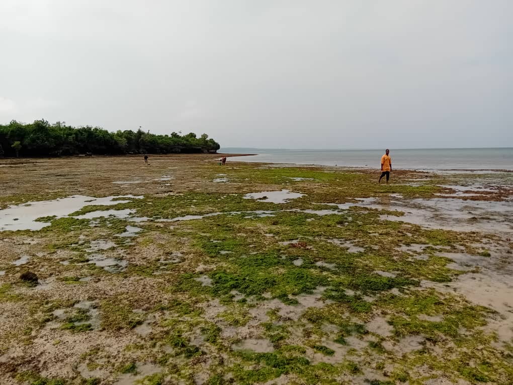 【ネパール】エベレストベースキャンププログラムスケジュール画像