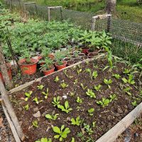 【ベトナム】農家支援プログラム業務内容画像