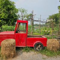 【ベトナム】農家支援プログラムスケジュール画像