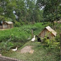 【ベトナム】農家支援プログラムスケジュール画像