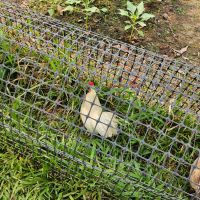 【ベトナム】農家支援プログラムスケジュール画像