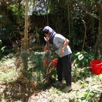 【ベトナム】エコファーム業務内容画像