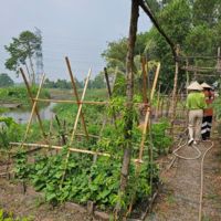 【ベトナム】農家支援プログラム業務内容画像
