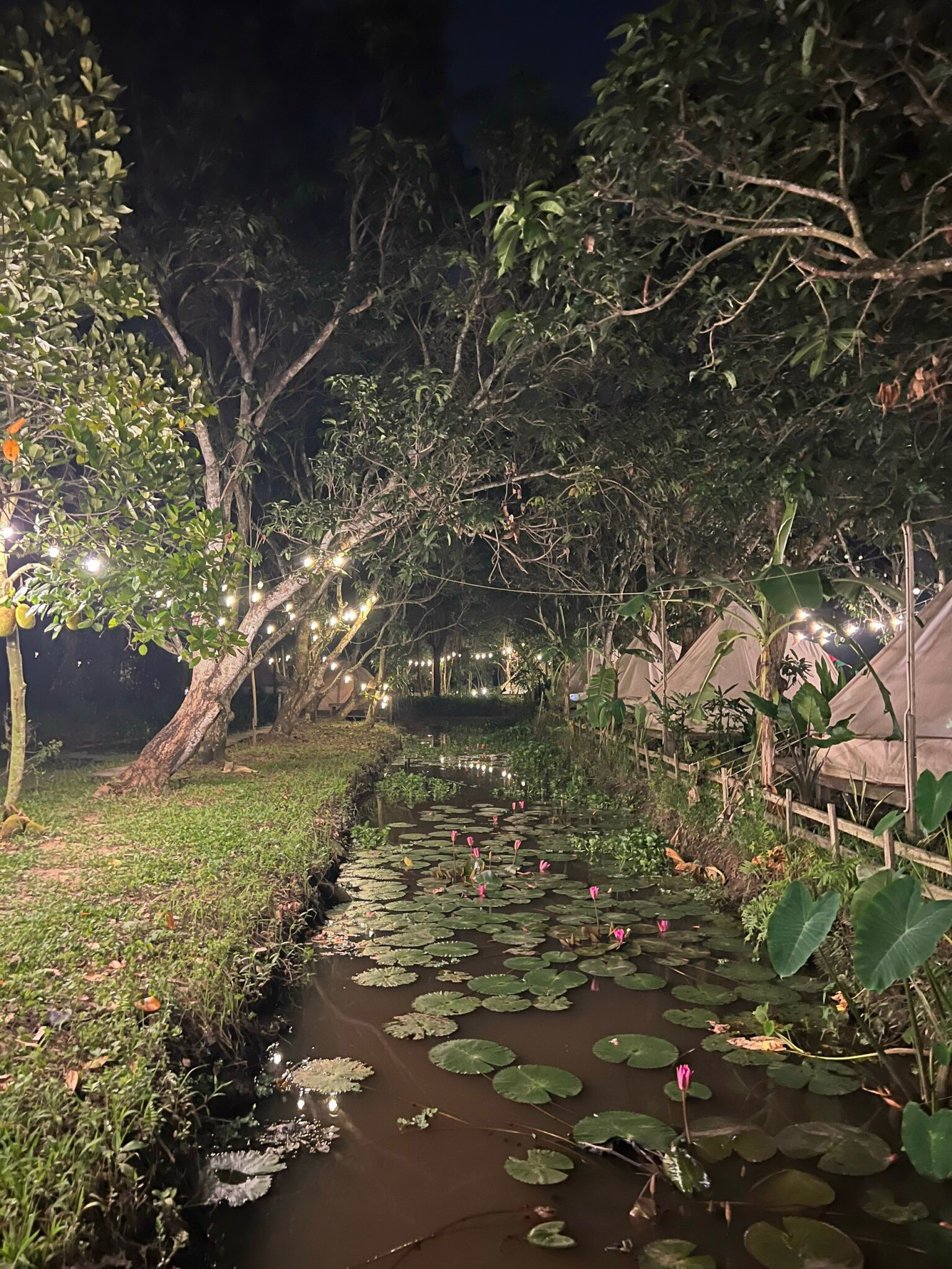 【ベトナム】農家支援プログラム宿泊先画像