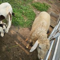 【ベトナム】農家支援プログラム業務内容画像