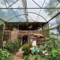 【ベトナム】エコファーム業務内容画像