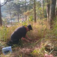 【ベトナム】環境保護プログラム業務内容画像