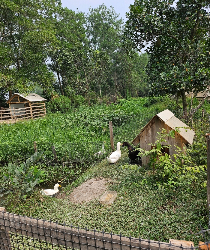 【ベトナム】農家支援プログラム