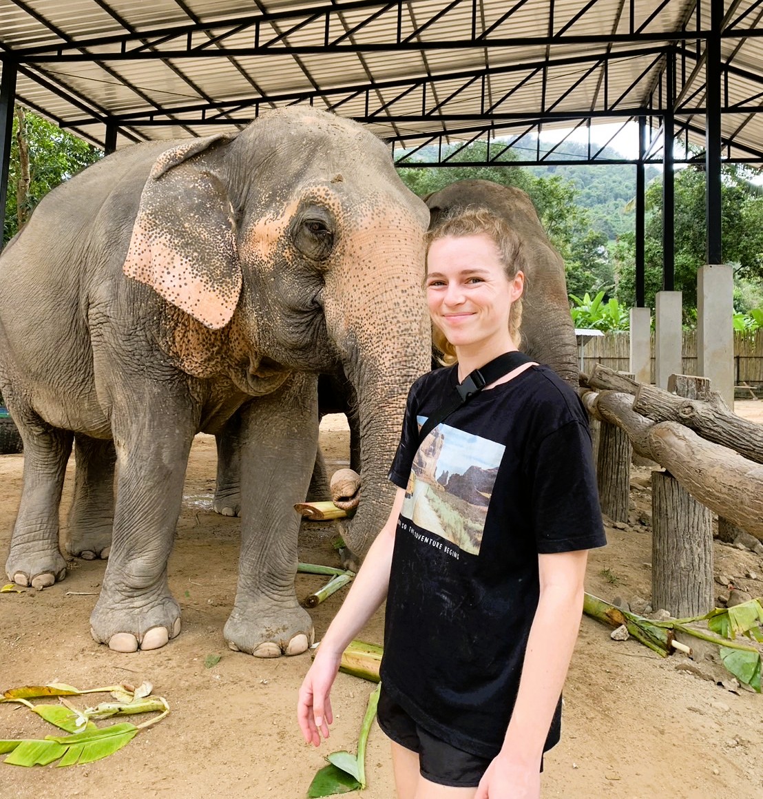 【タイ – サムイ島】アジアゾウ保護プログラム
